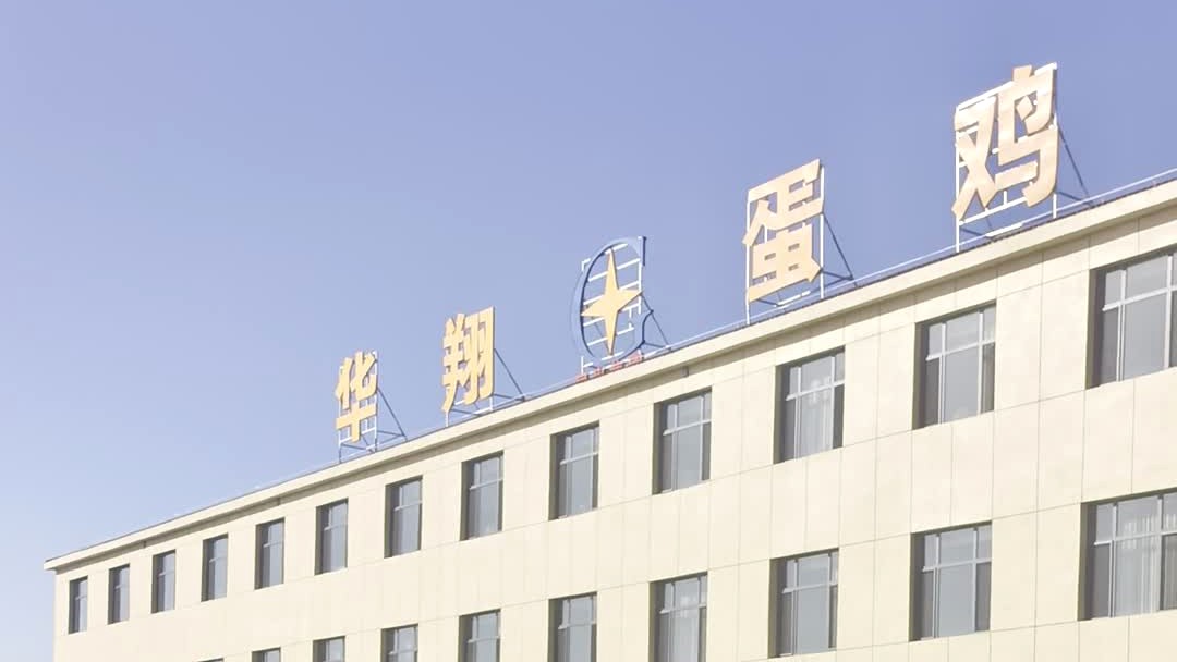 从山城到塞北：马总现场督导百万羽蛋鸡厂化验室建设